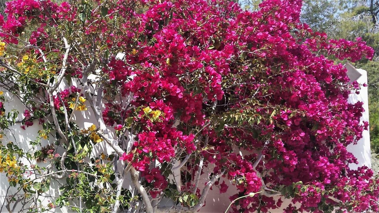 Beautiful House By The Sea,Loutraki Skaloma. Villa ภายนอก รูปภาพ